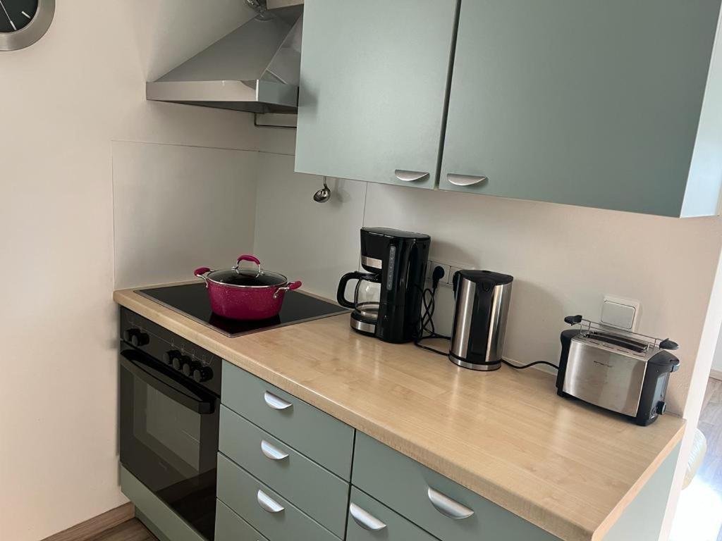 Ferienwohnung Pirna-Panorama Dış mekan fotoğraf