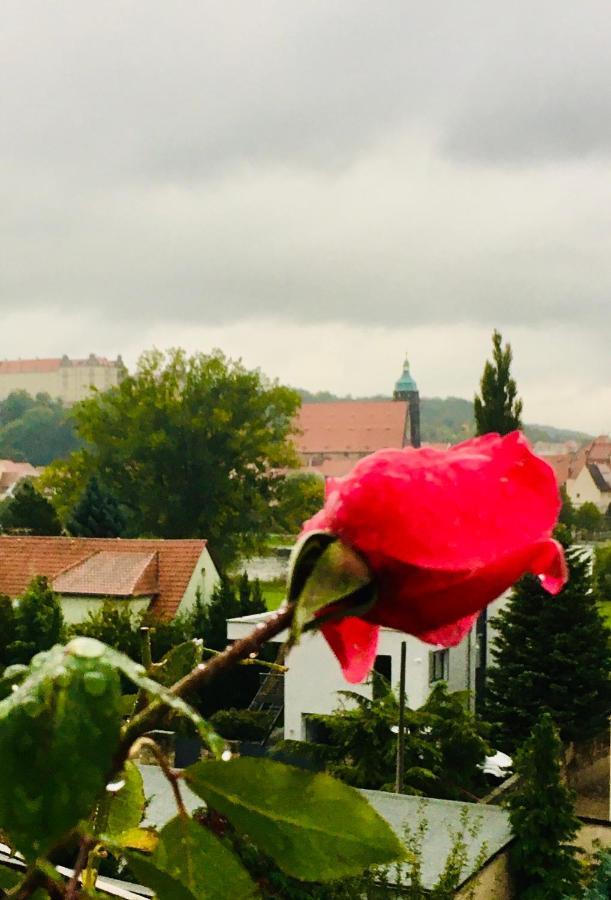Ferienwohnung Pirna-Panorama Dış mekan fotoğraf